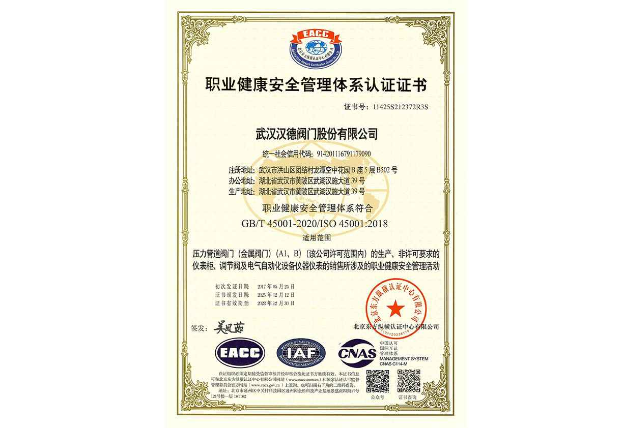 汉德职业健康安全管理体系证书GB/T 45001-2020/1S0 45001:2018